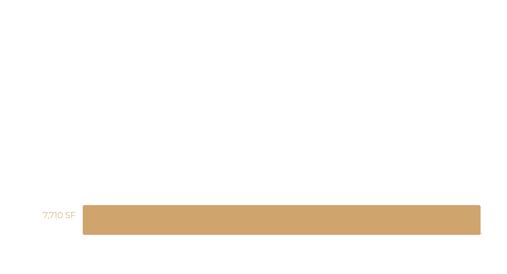 Level 2