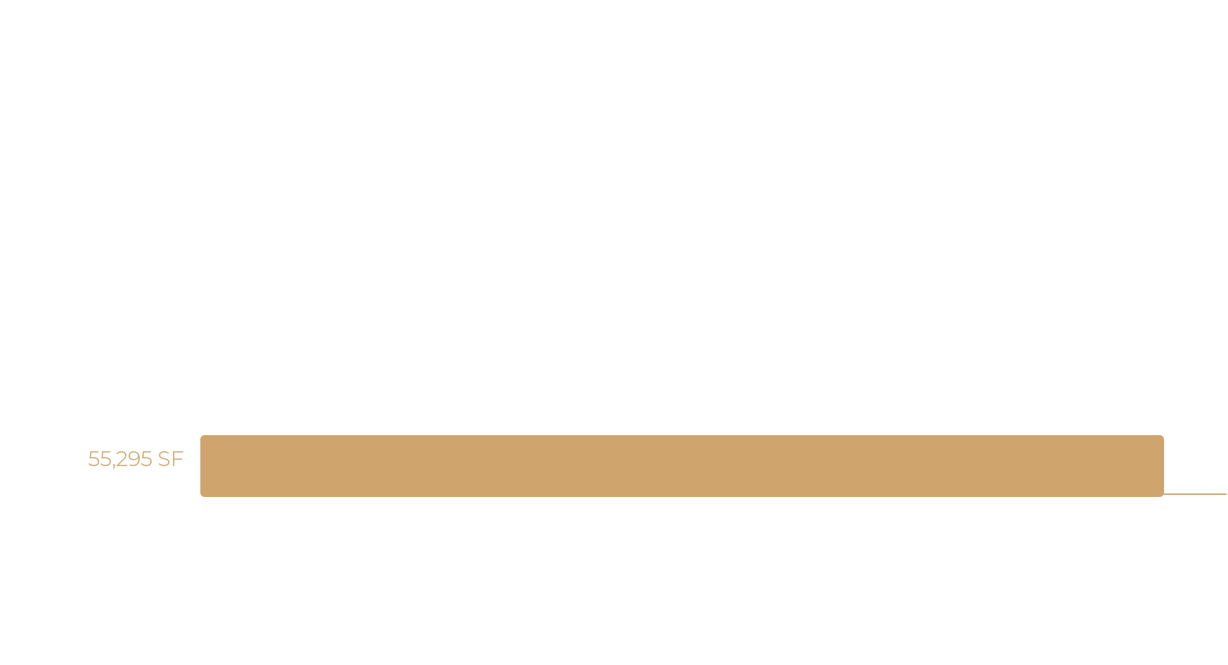 Level 3