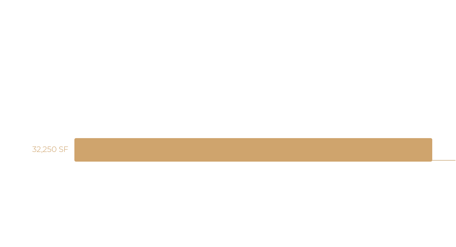 Level 4