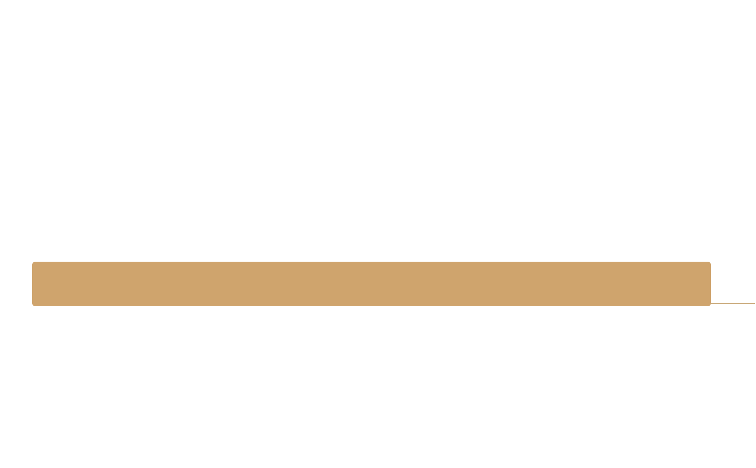 Level 4