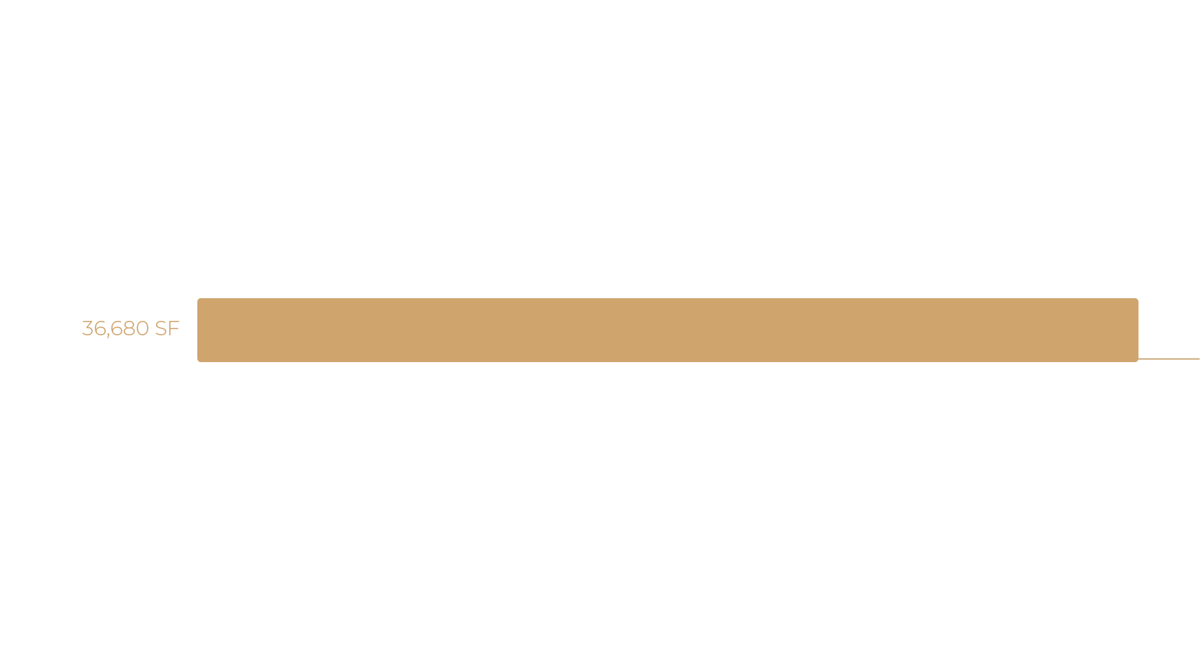 Level 5