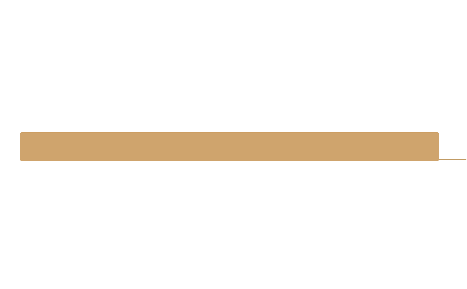 Level 5
