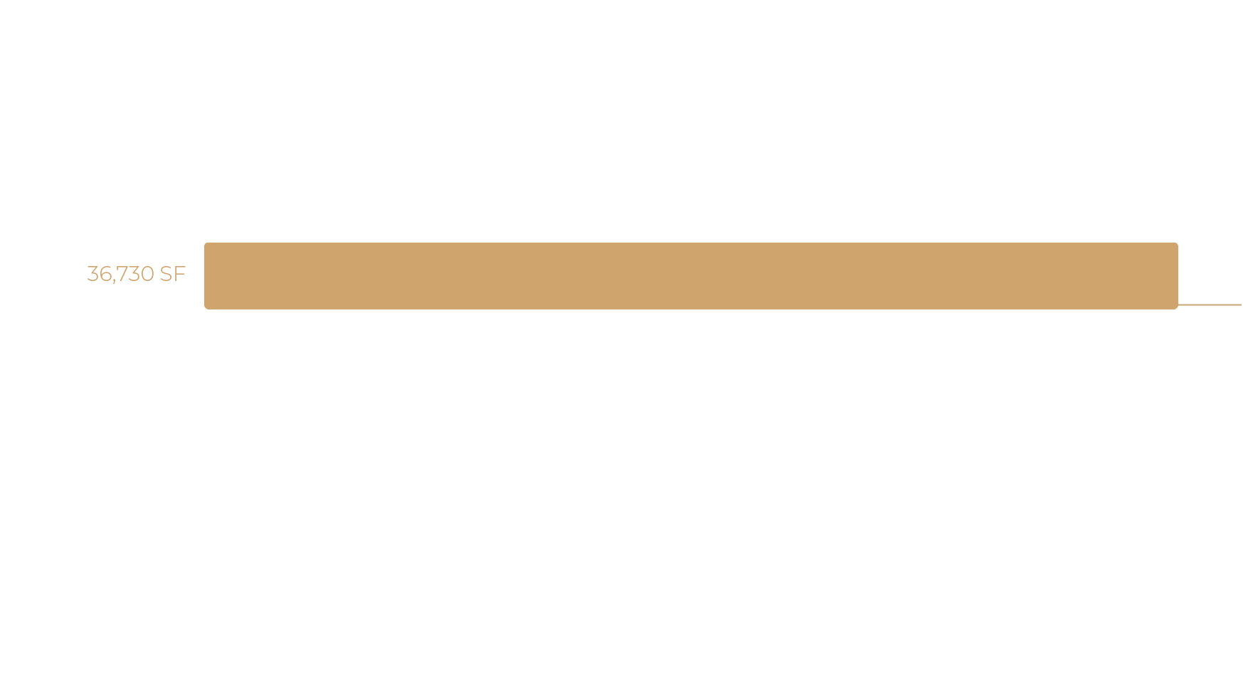 Level 6