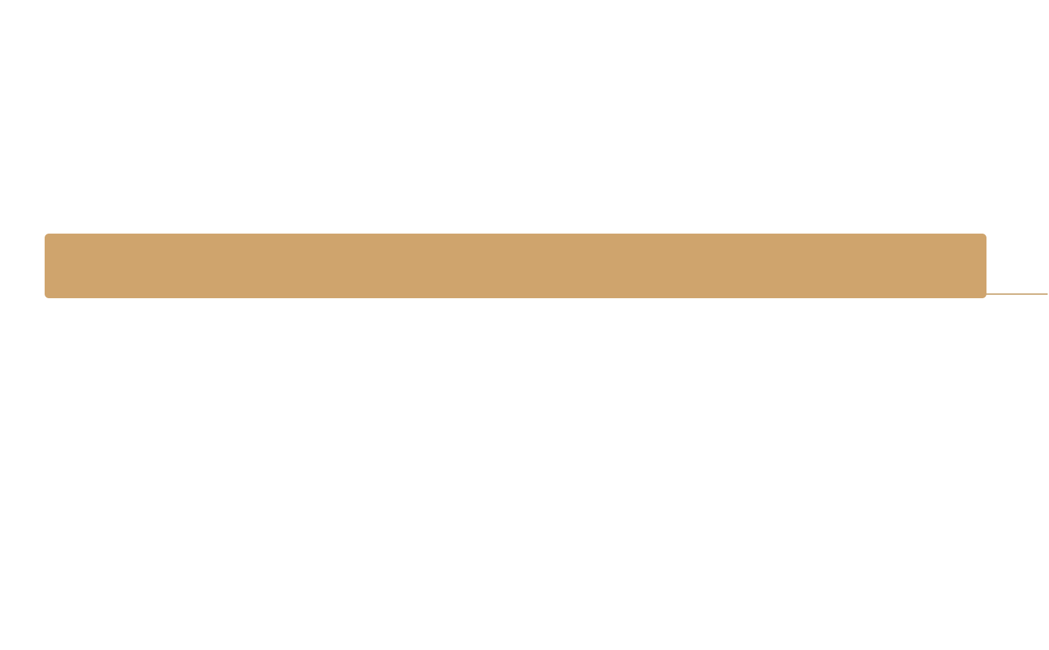 Level 6
