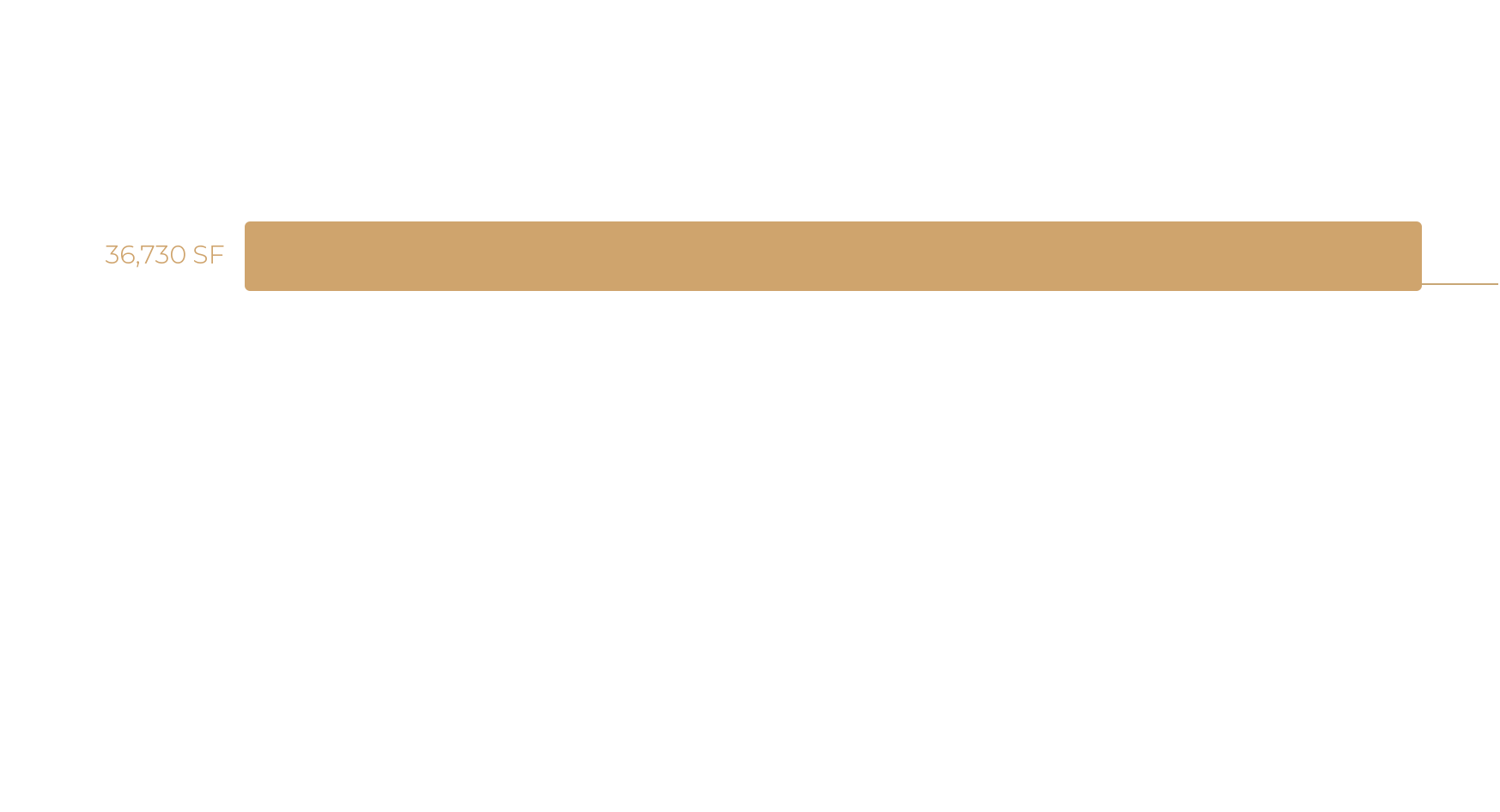 Level 7