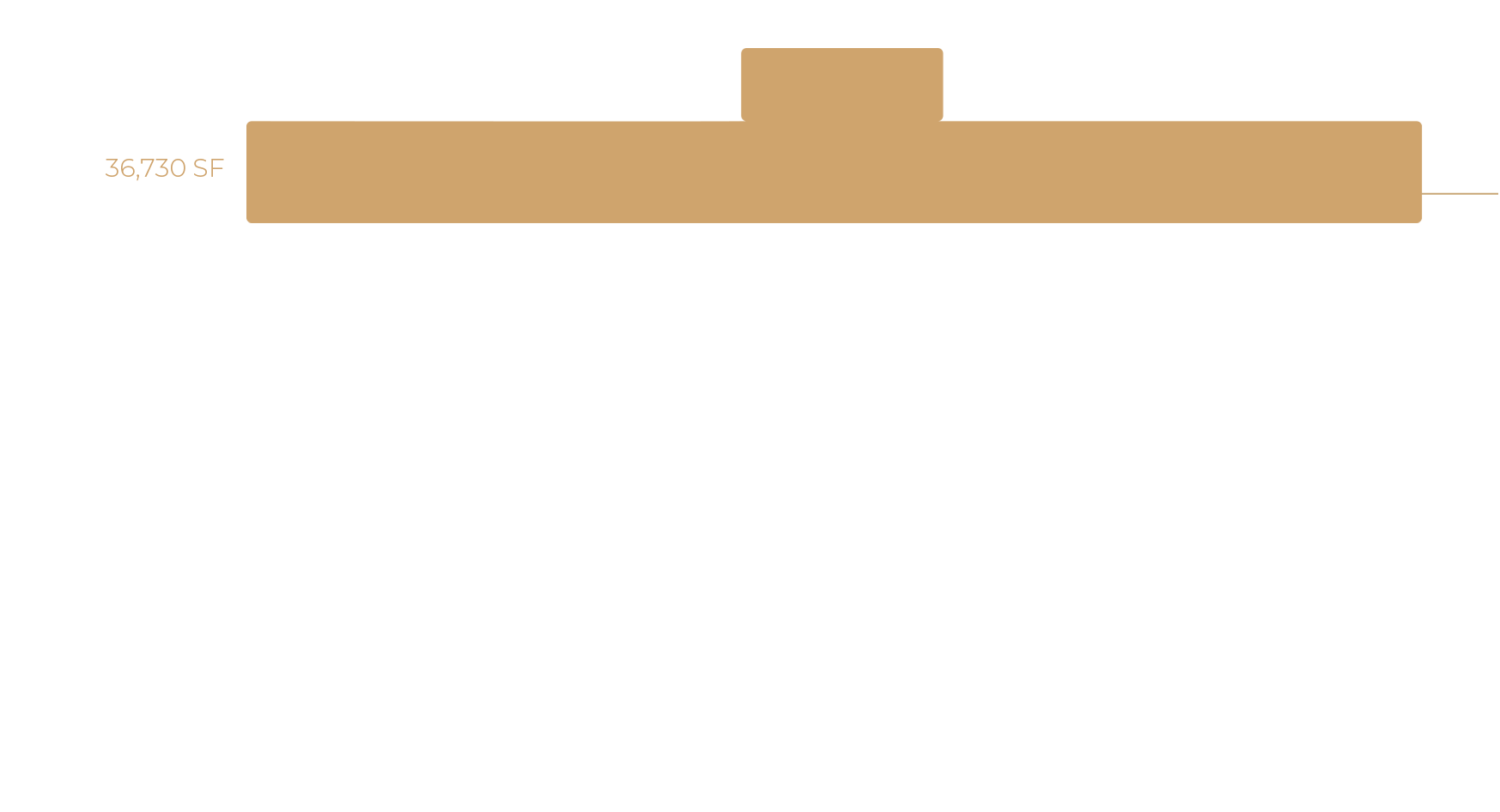 Level 8