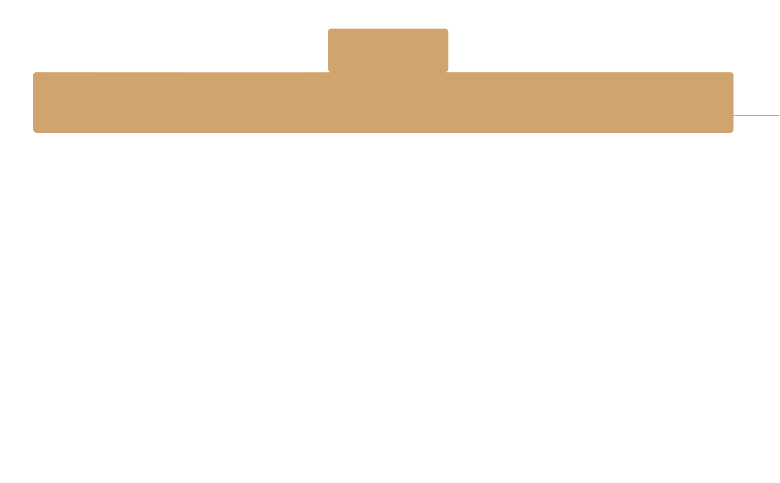Level 8